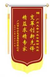 白云電氣集團(tuán)贈(zèng)送正睿咨詢變革創(chuàng)新先鋒，精益求精專家錦旗