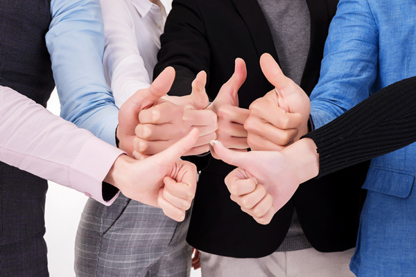 組織文化建設(shè)咨詢：塑造積極企業(yè)文化，提升組織凝聚力