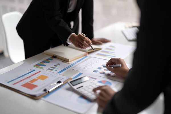 彈性預算咨詢：應對市場變化，優(yōu)化預算策略