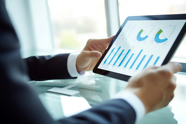 年度業(yè)務(wù)拓展計(jì)劃：多元發(fā)展，全面增長