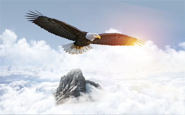 組織規(guī)劃引領(lǐng)企業(yè)變革，塑造全新管理模式與未來