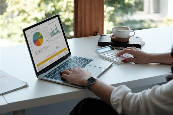 預算管理精細化：提升企業(yè)財務(wù)管理水平的關(guān)鍵步驟