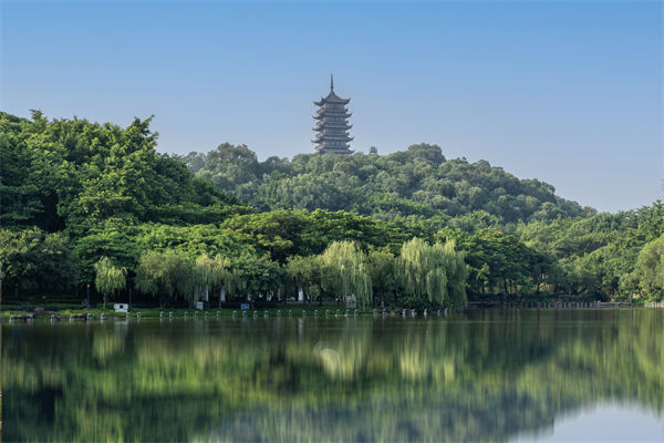 如何評估佛山集團管控咨詢公司的服務(wù)質(zhì)量和效果？