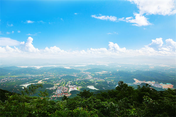 企業(yè)戰(zhàn)略飄在半空落地難，惠州戰(zhàn)略咨詢公司能錨定方向嗎？