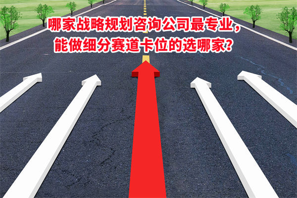 哪家戰(zhàn)略規(guī)劃咨詢公司最專業(yè)，能做細(xì)分賽道卡位的選哪家？